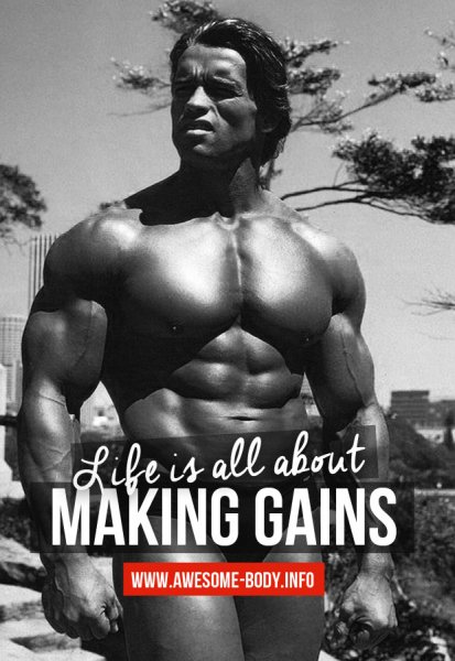 Making-gains-bodybuilding-quotes
