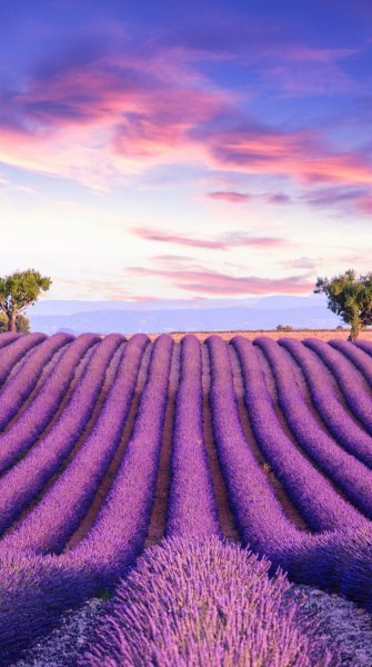 Screenshot 20260306-121939 One UI Home