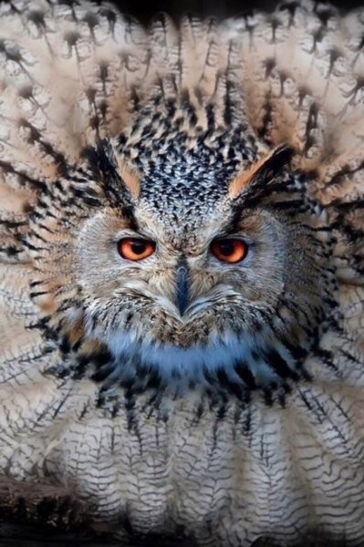 image (2) - 2021-02-09T182154.546