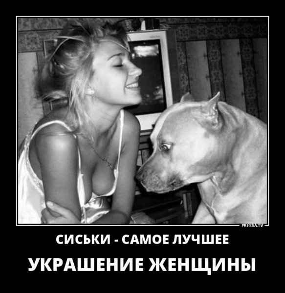 Сиськи