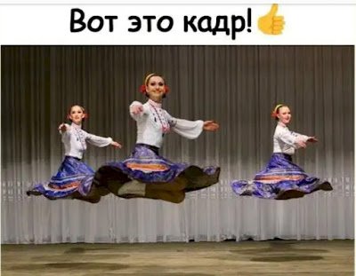 picture_387464625