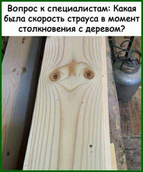 IMG 20260324 154509 898