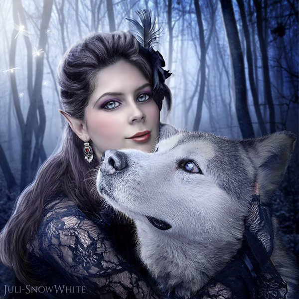 Ельф и волк