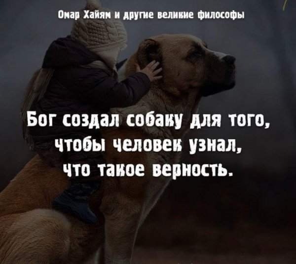 Так и есть!