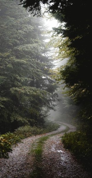 Арт Природа