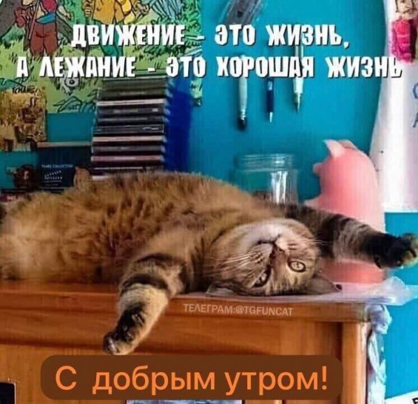 A09f7457588543c888e5ceb47b1396c1