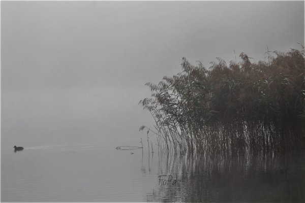 c2cf14405 IMG 6837