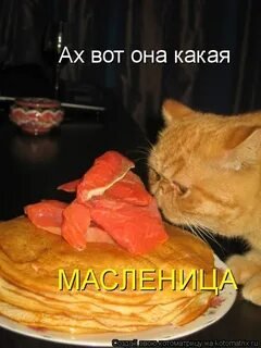Ааах, вот она какая Масленица!