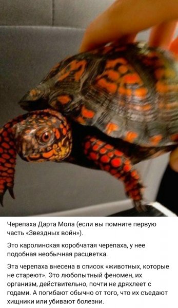 IMG-0e4f2fc8909a691ae9921fc4026fc382-V