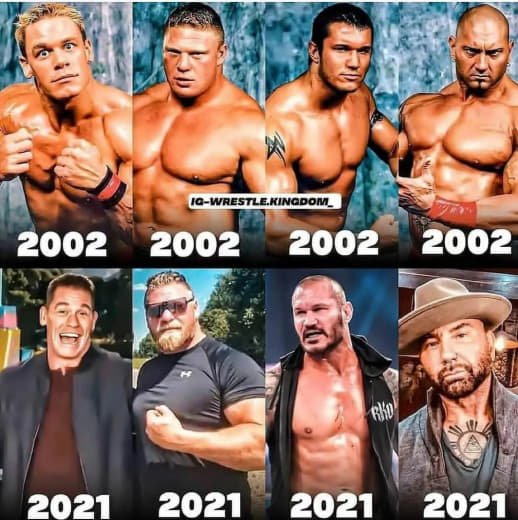 WWE (402)