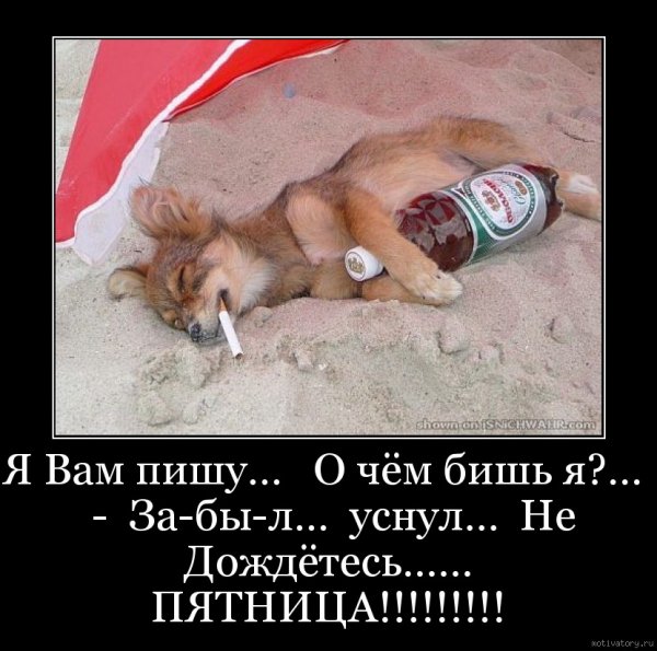 Пятница!!!!!!!!!