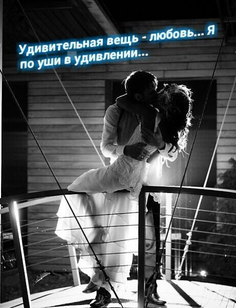 Без названия(1)