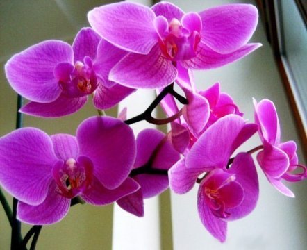 17-24-46-83334843.p.0.360.0