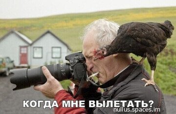 Птичка