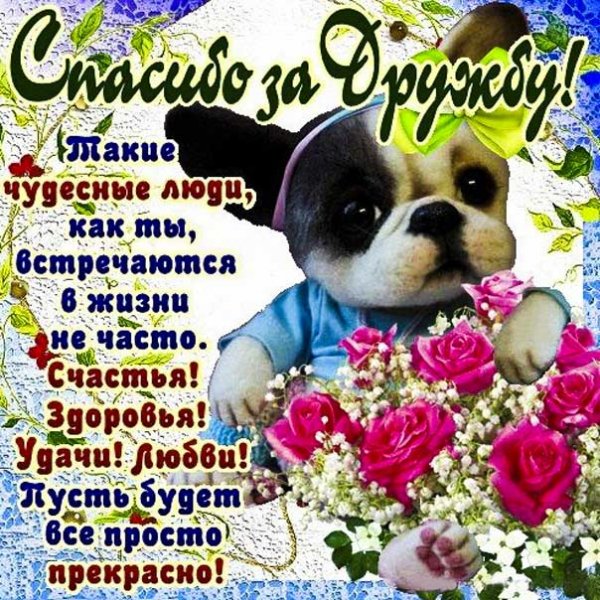Otkritki-spasibo-za-druzhbu-milaya-kartinka-