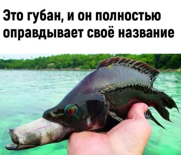 picture_299324940