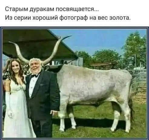фотограф