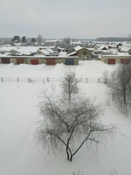 Зима