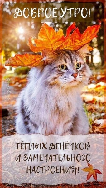 Доброе утро!