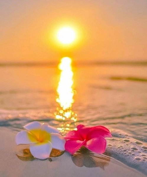 Не бойся перемен, они происходят тогда, когда нужны