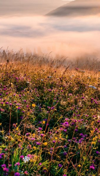 Screenshot 20251117-105245 One UI Home