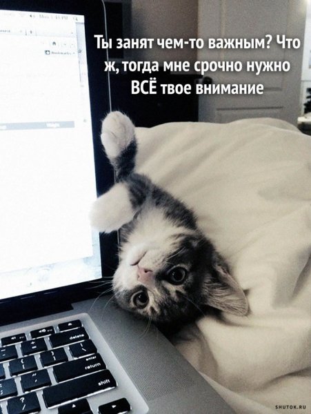 Да! ))