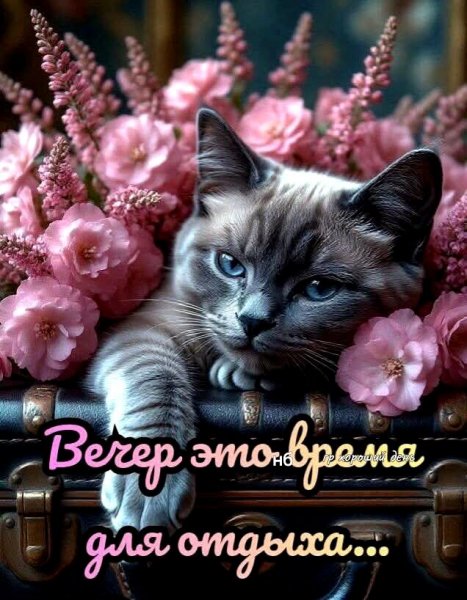 97d0e12de4c5dbfed29e06cf65cbd18e