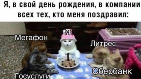 picture_283567399