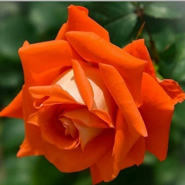 04-22-57-103420850 288275215687842 9217092366880493515 n