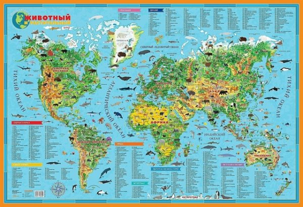 Животный мир