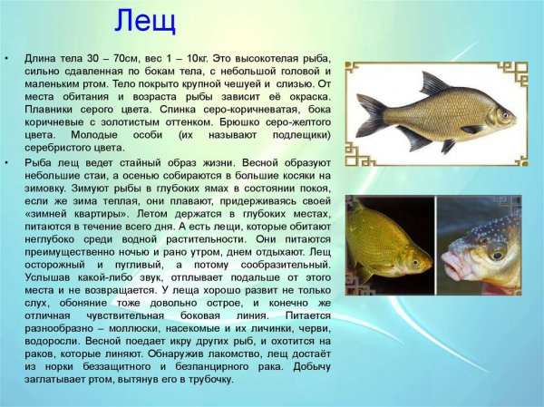 Лещ
