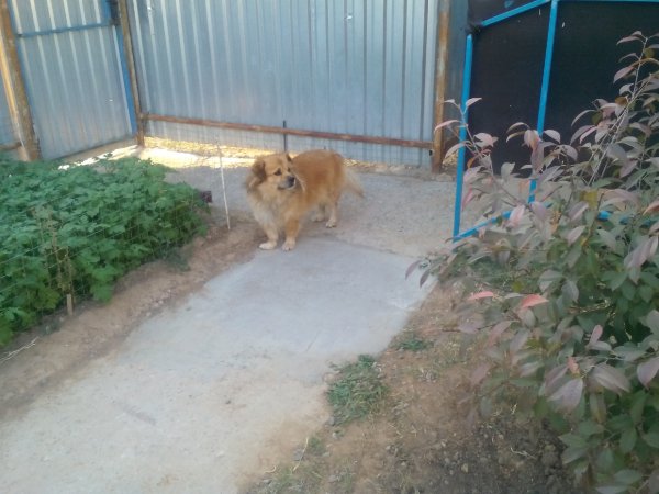 IMG 20201101 152327