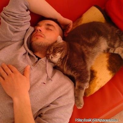 Царь и кот