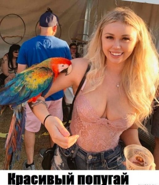 picture_370510894