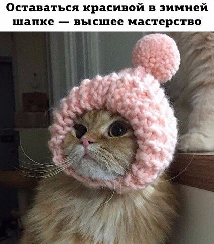 image (3) (15)
