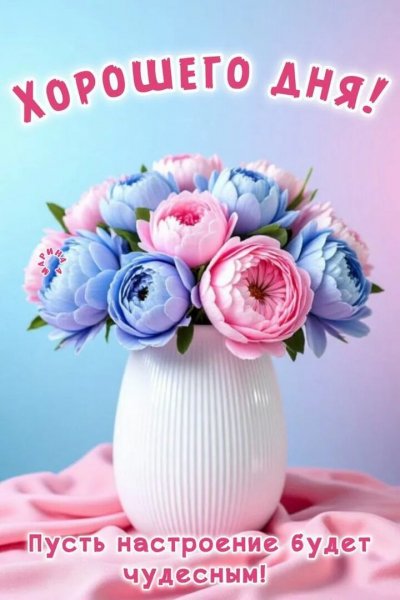 Друзья мои!