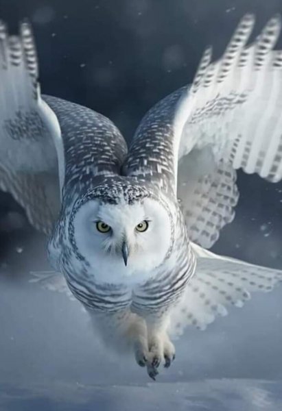 ПРИРОДА АРКТИКИ