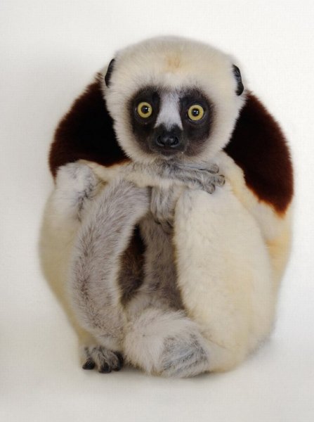 6aa57a5a1d884e4a466102e5b4aace9a