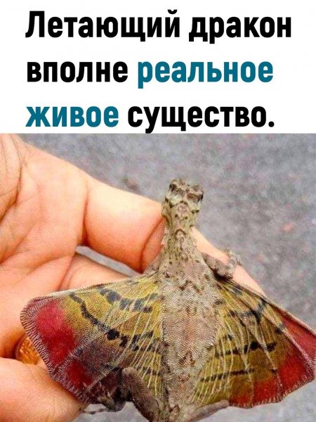 qtryJ1EM60E