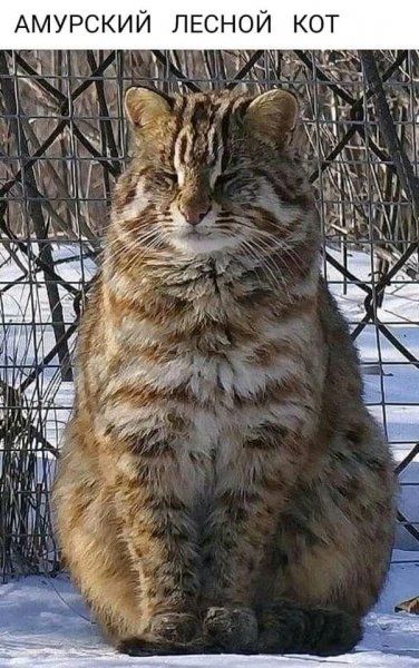 FB IMG 16399126973270586