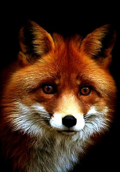 image - 2021-08-31T010540.589