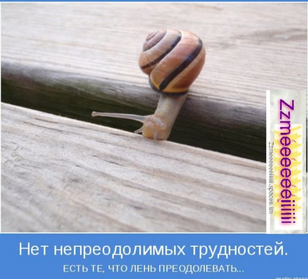 com.bongasoft.addremovewatermark Screenshot 20220124-205913