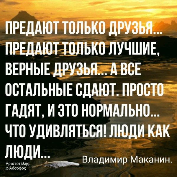 Верные слова!