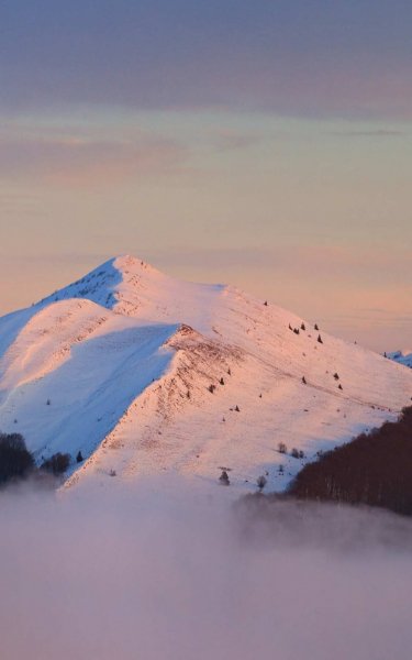 Screenshot 20250307-214432 One UI Home