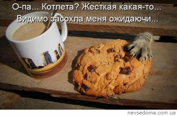О-па...