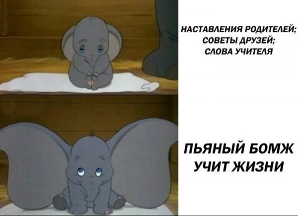 Бомж знает базу )