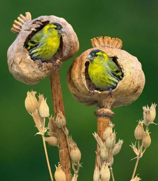 20acba81eade37c96a5e899d095668e6