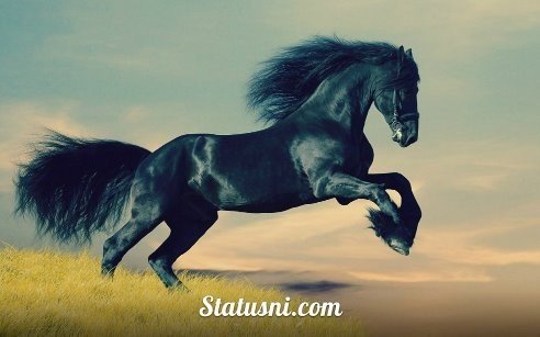 getImage-25
