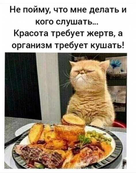Не пойму...