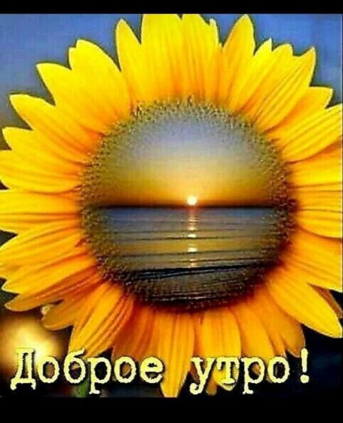 Доброе утро